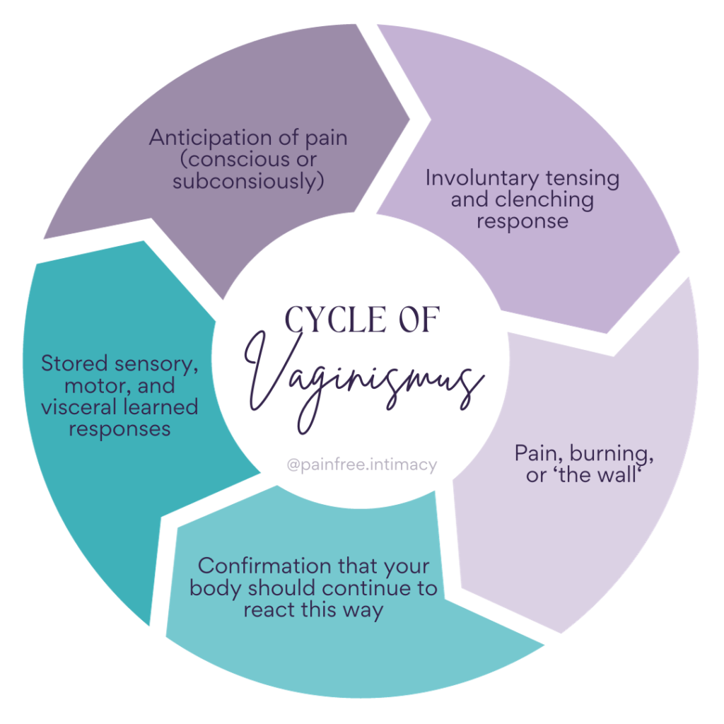 Vicious cycle of vaginismus